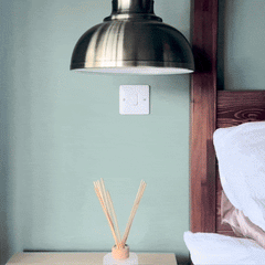 Plank Hardware Electric KEPLER 1G Paintable Toggle - Brass