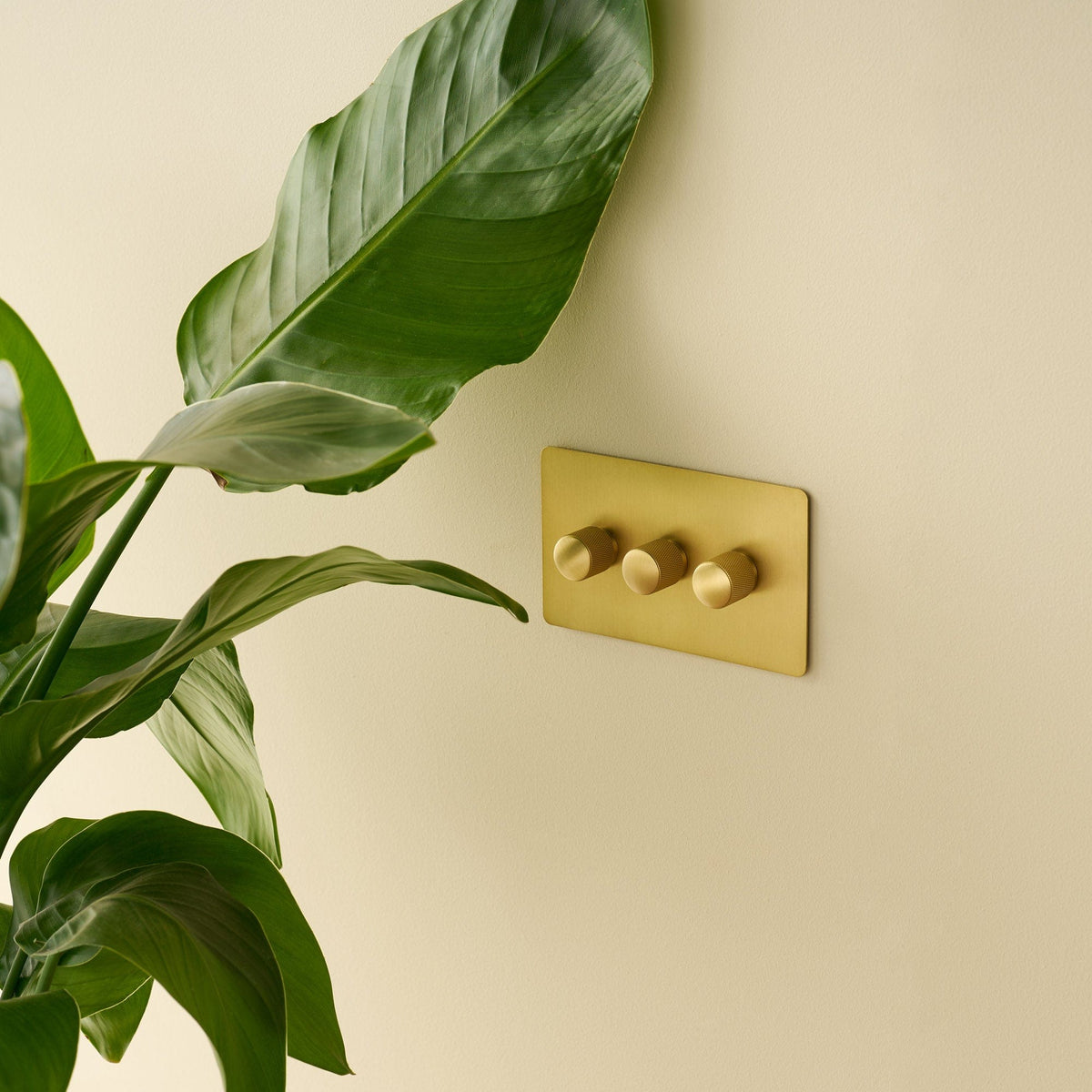 KEPLER 3G Knurled Dimmer Switch | Brass Light Switch – Plank Hardware