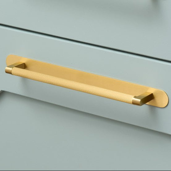Handles with Backplates