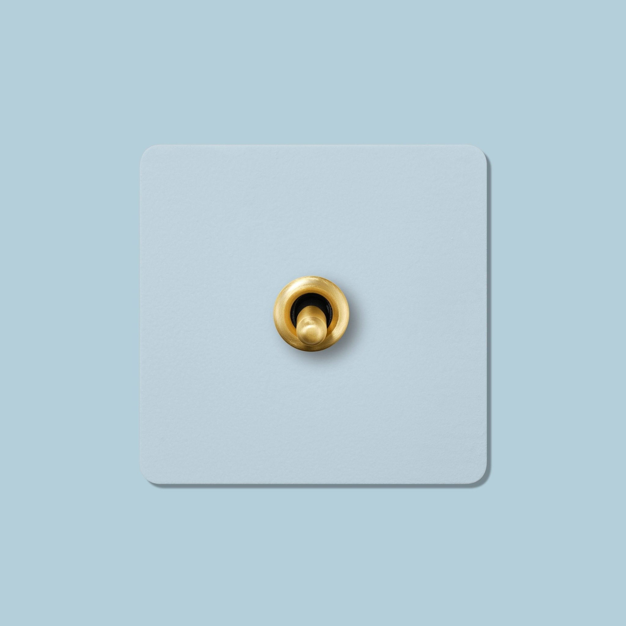 PALO 1G Paintable Toggle Switch - Brass - Plank Hardware