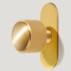 Plank Hardware Accessories Hook with Backplate KEPLER Knurled Hook - Brass
