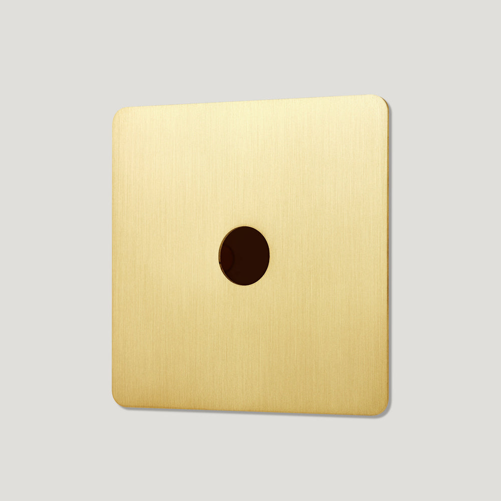 1G Light Switch Plate - Brass