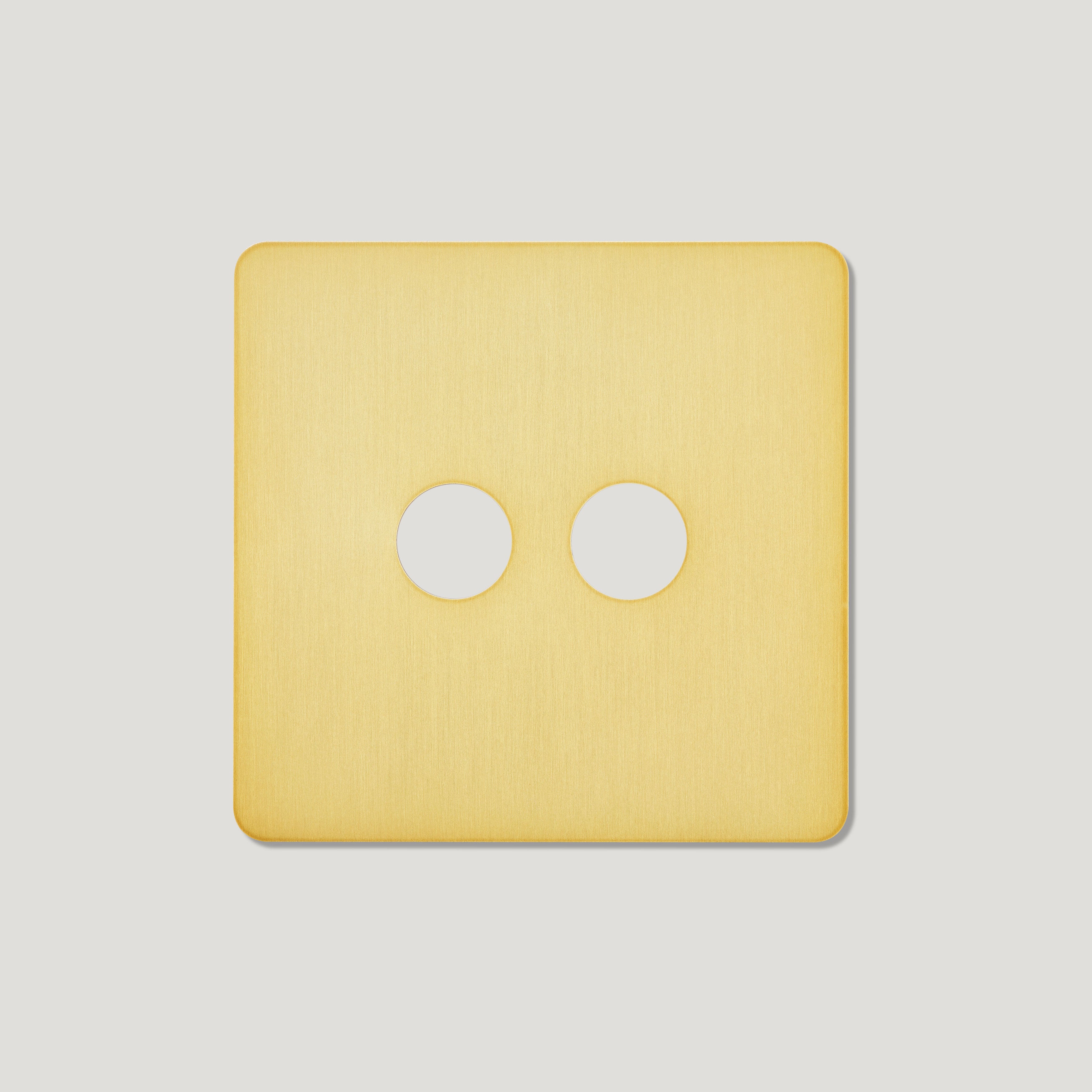 Plank Hardware Electric 2G Toggle / Mixed Plate - Brass