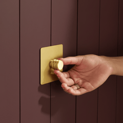 Plank Hardware Electric ALVA 1G Dimmer Light Switch - Brass