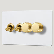 Plank Hardware Electric ALVA 4G Paintable Mixed Switch 2Toggle/ 2Dimmer - Brass
