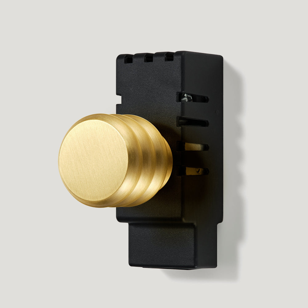 ALVA Tubular Dummy Dimmer Detail with Module - Brass