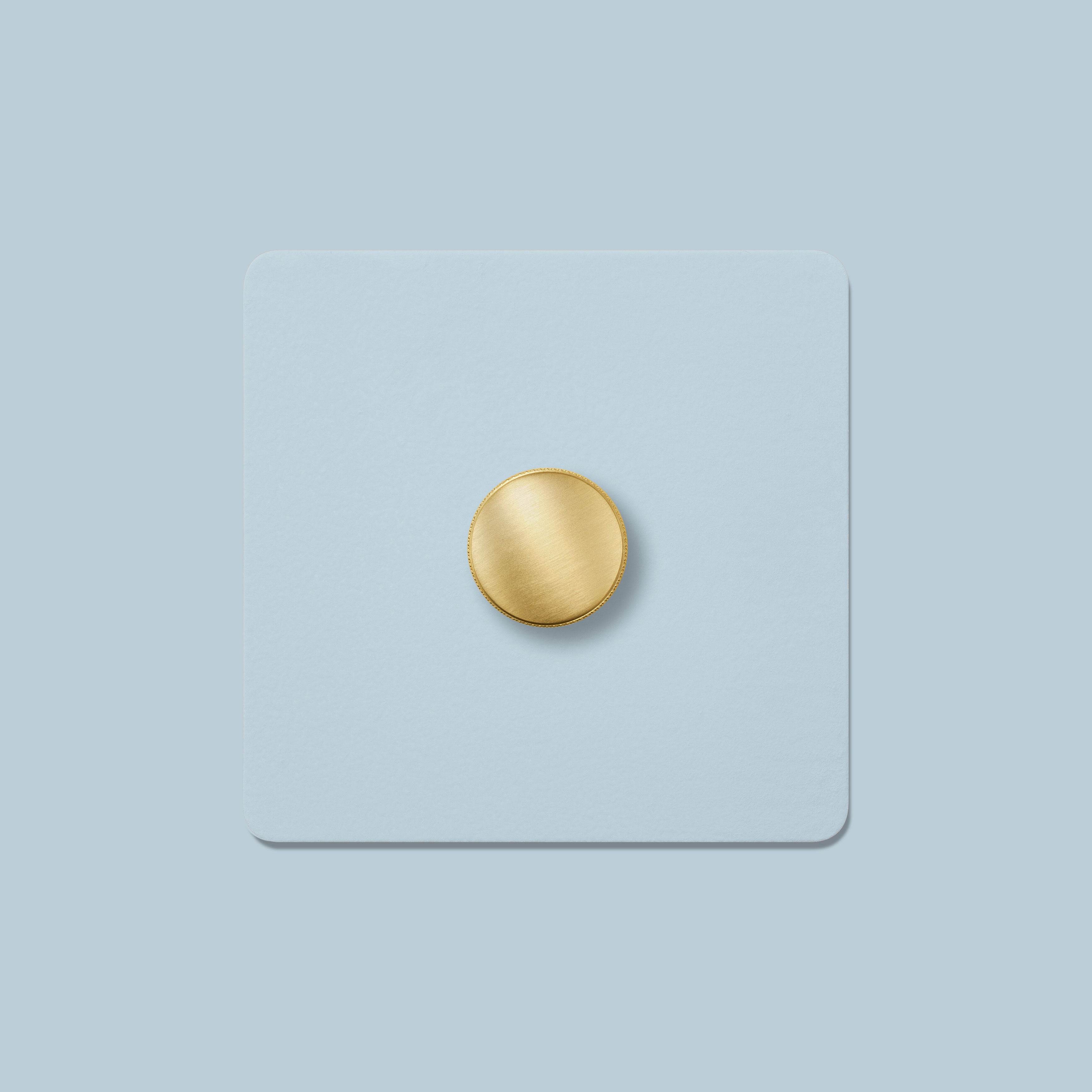 Plank Hardware Electric KEPLER 1G Paintable Dimmer Switch - Brass