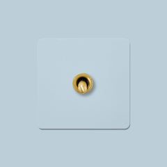 Plank Hardware Electric KEPLER 1G Paintable Toggle - Brass