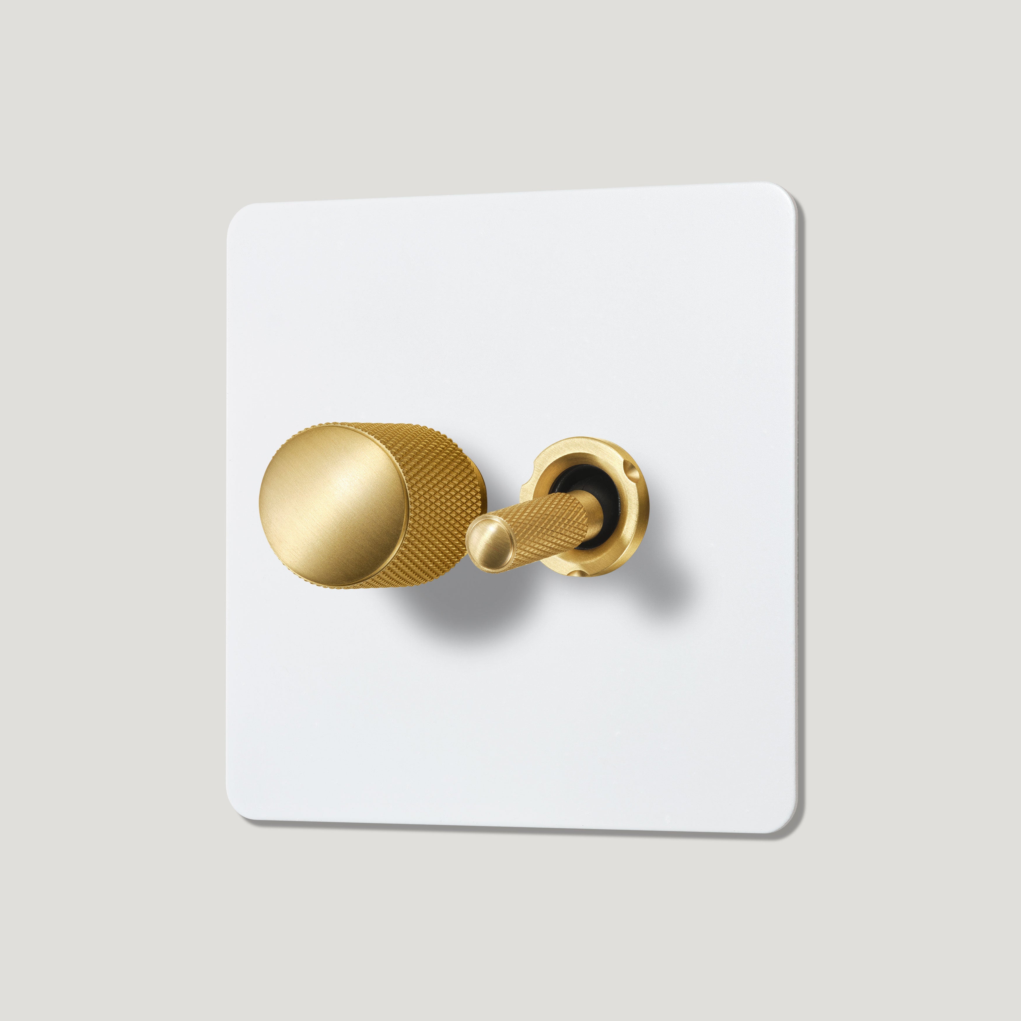 Plank Hardware Electric KEPLER 2G Paintable Mixed Switch 1Toggle/ 1Dimmer - Brass