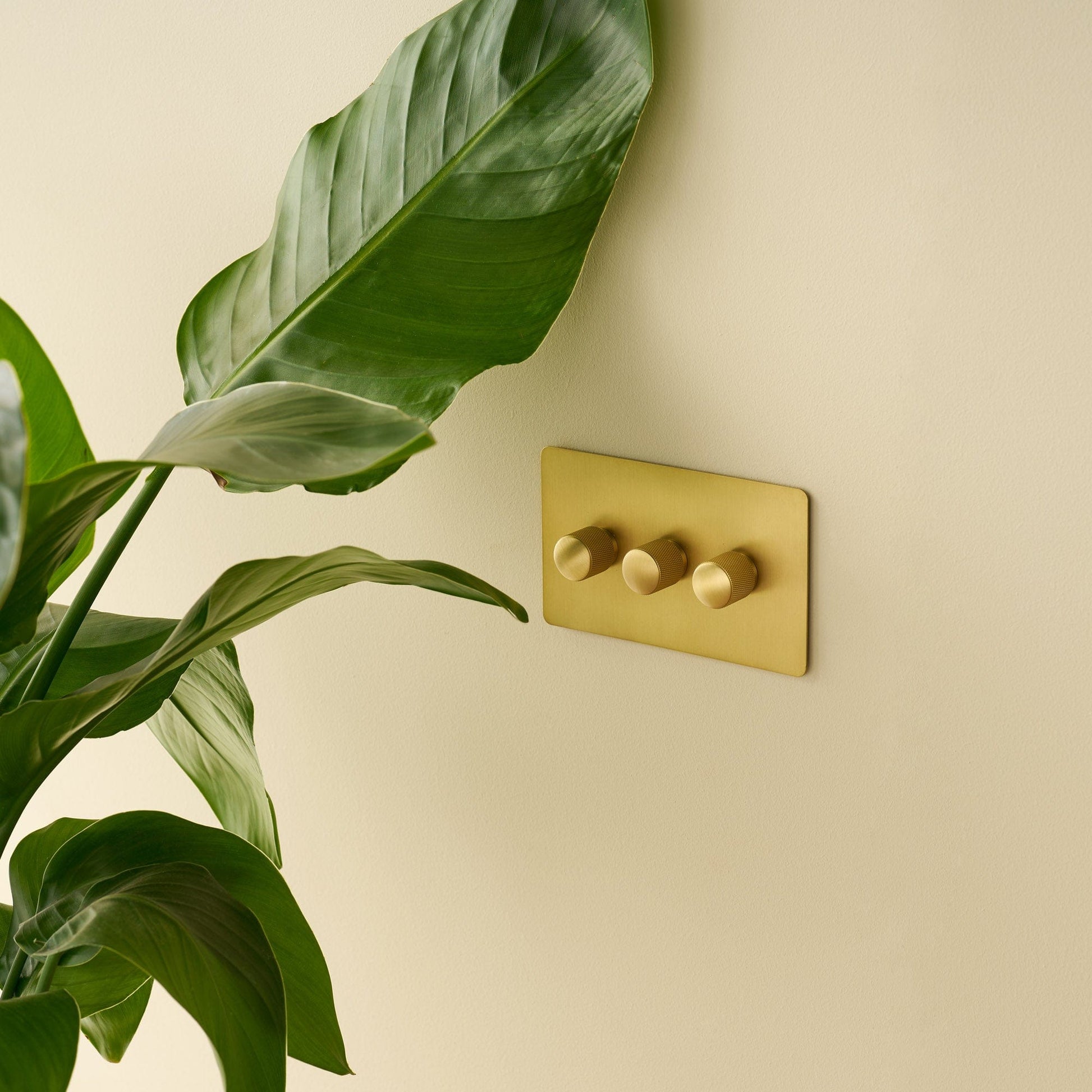 Plank Hardware Electric KEPLER 3G Knurled Dimmer - Brass