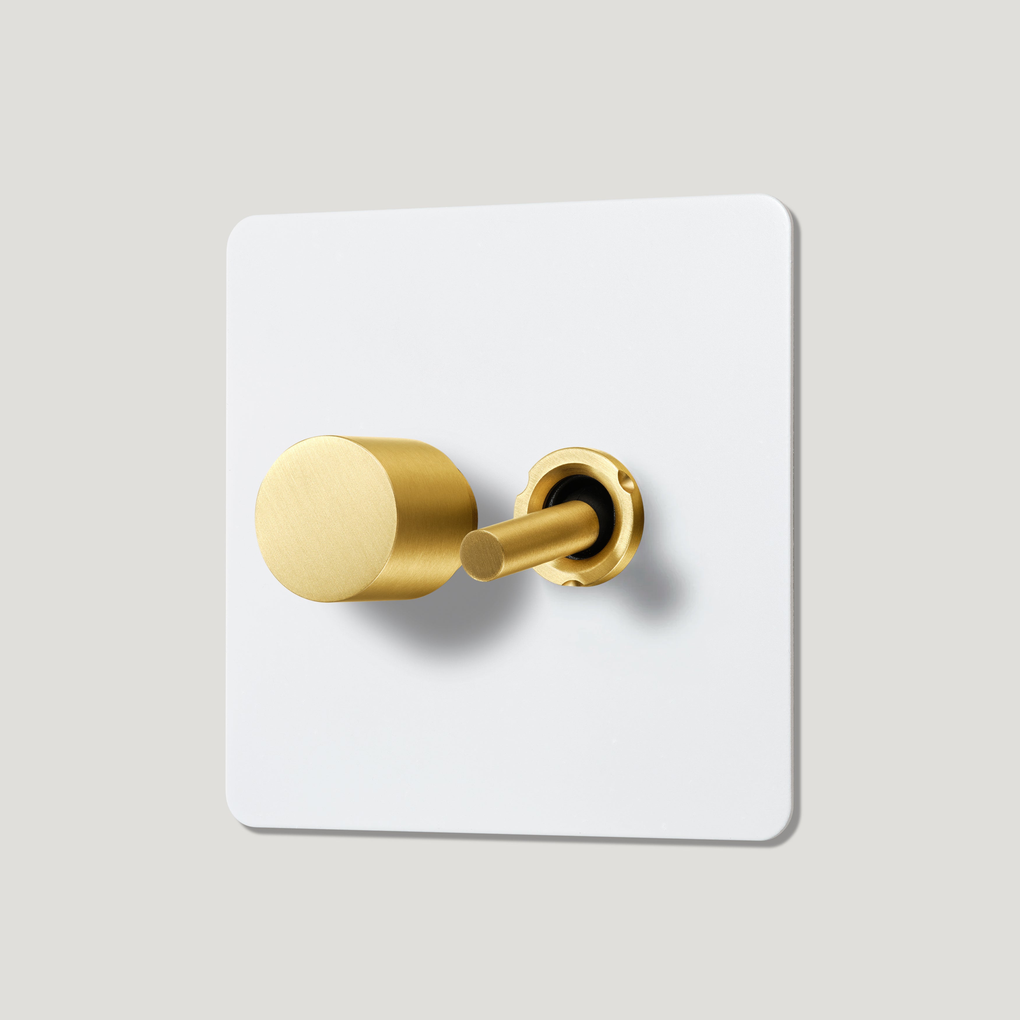 Plank Hardware Electric MAXWELL 2G Paintable Mixed Switch 1Toggle/ 1Dimmer - Brass