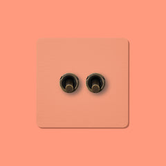 Plank Hardware Electric MAXWELL 2G Paintable Toggle Switch - Antique Brass