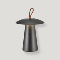 Plank Hardware Lighting ARA Rechargeable Lamp - Black