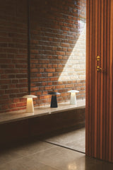 Plank Hardware Lighting ARA Rechargeable Lamp - Black