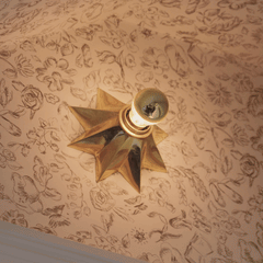 Plank Hardware Lighting ASTER Flush Mount Light - Unlacquered Brass